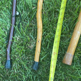 Antique Parasol Frame and 3 Vintage Canes - thumbnail 3 of 12