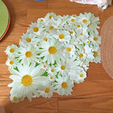 Vintage Placemats And More - thumbnail 4 of 12