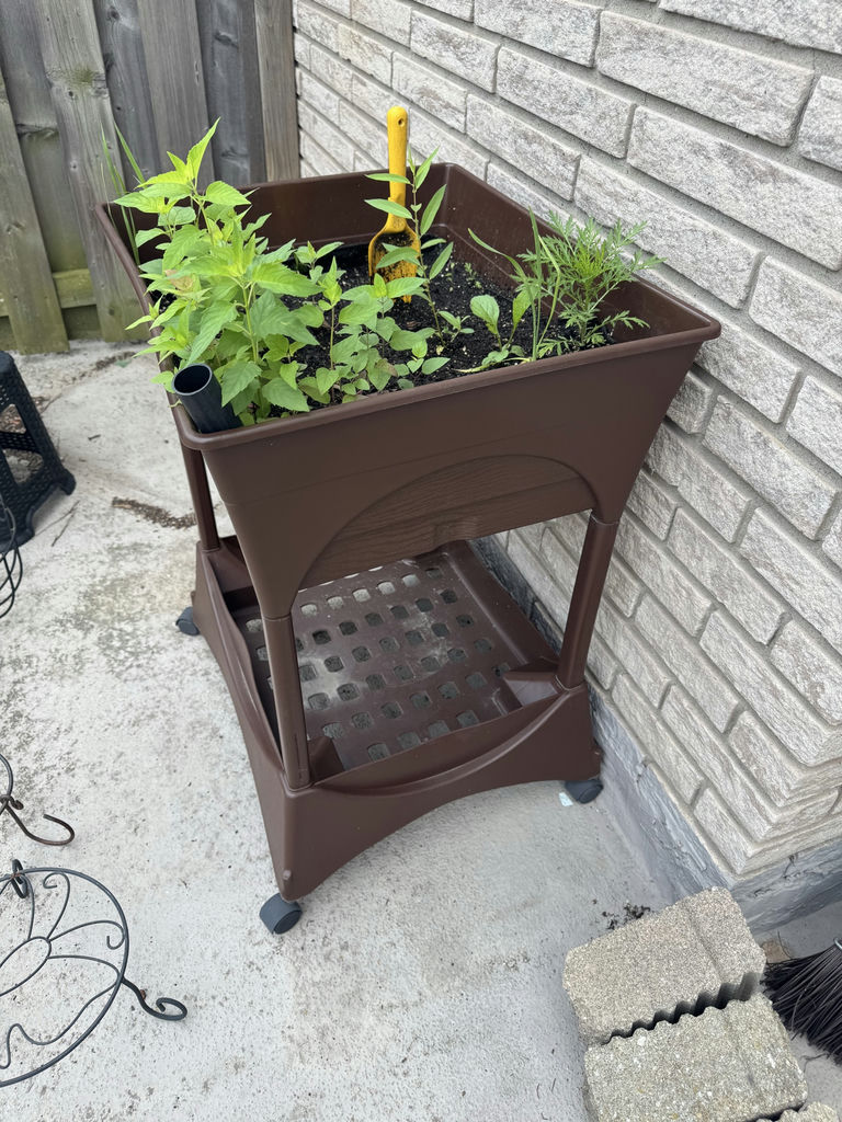 Raised Plastic Planter - image 4 of 5