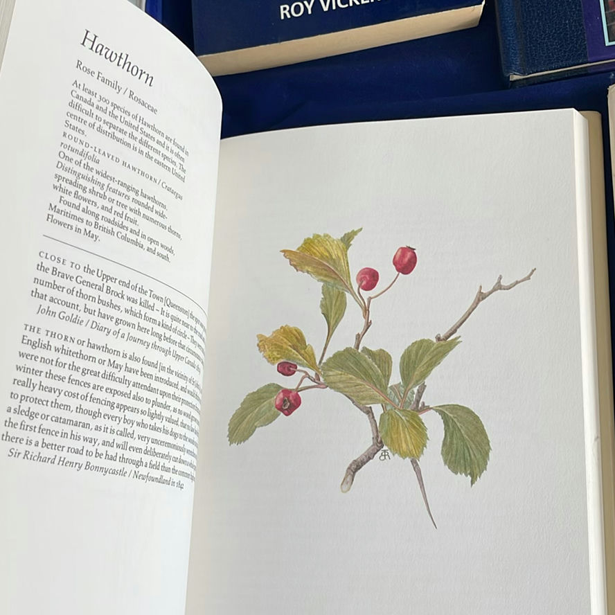 Floral Books - image 4 of 17