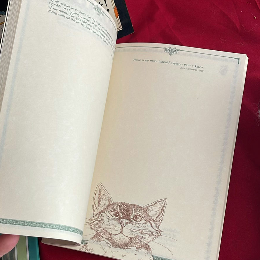 Cat Themed Lot - image 6 of 23