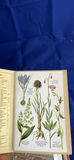 Floral Books - thumbnail 17 of 17