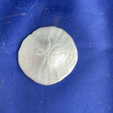 Shell Motif including Vintage Plate - thumbnail 3 of 11