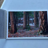 Various Poetry Books - thumbnail 18 of 18