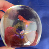 Helen Millard Glass Paperweight, Royal Doulton Crystal Trinket Box, Oil and Vinegar holder and Crystal Frame - thumbnail 11 of 13
