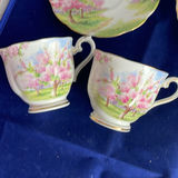 Royal Albert and Royal Doulton Cups and Saucers - thumbnail 2 of 20