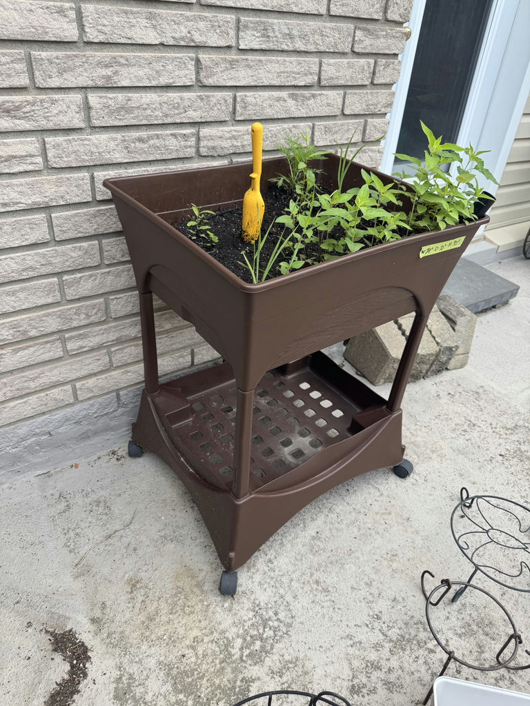 Raised Plastic Planter - image 5 of 5