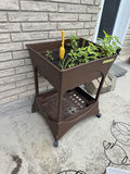 Raised Plastic Planter - thumbnail 5 of 5