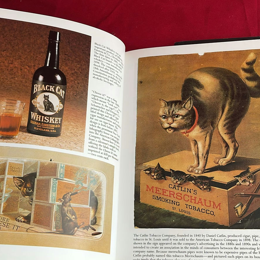 Cat Themed Lot - image 10 of 23