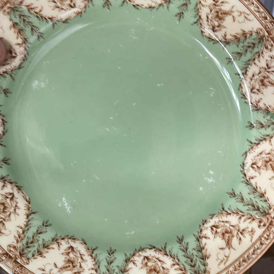 Antique Royal Worcester 1893 Dinnerware - image 16 of 19