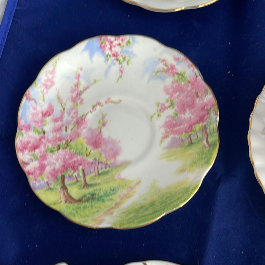 Royal Albert and Royal Doulton Cups and Saucers  - image 4 of 20