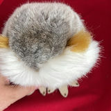 Steiff Wiggi Owl - thumbnail 5 of 7