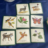 Pottery, Coasters And F&R Plate - thumbnail 3 of 21