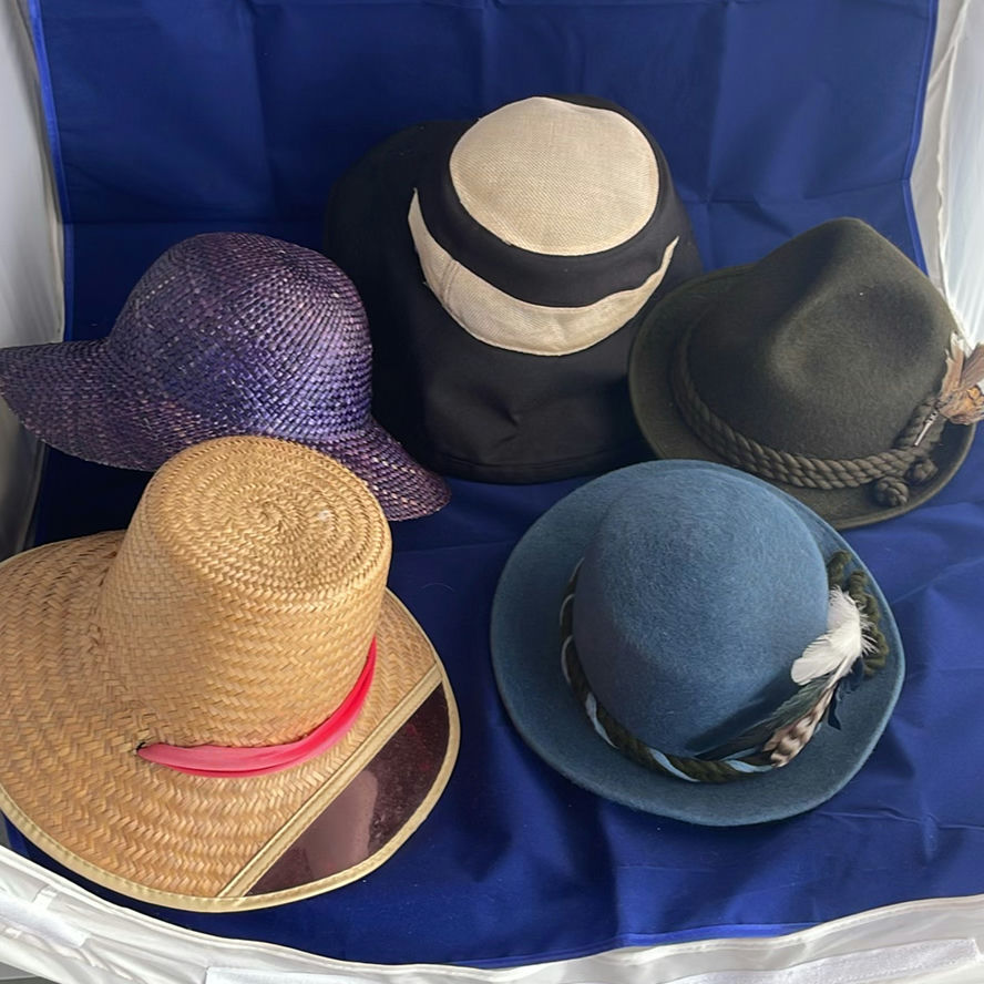 Women's Hats - image 1 of 12