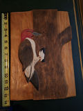 Hand-Carved Woodpecker Wall Plaque - thumbnail 1 of 6