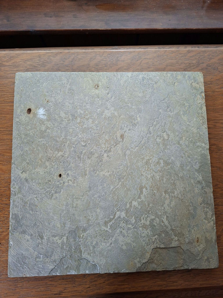 Signed Porcupine Painting on  Slate, "Kris 2002" - image 5 of 5