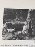Metropolitan Seminars in Art pamphlet collection - thumbnail 5 of 11