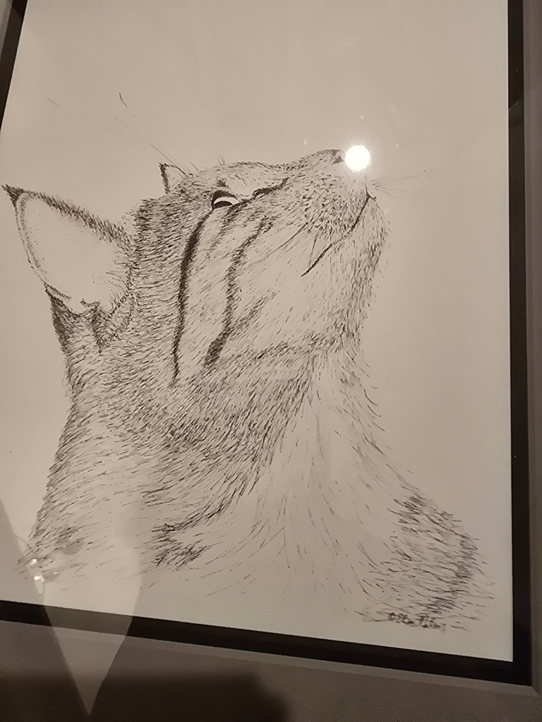 Framed Cat Artwork - one signed and one with COA - image 6 of 14