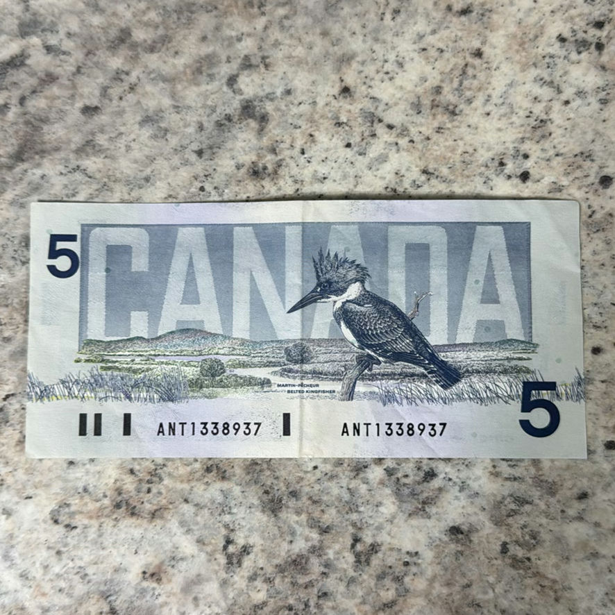 $50 In Canadian $20 And $5’s - image 5 of 9