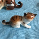 Lot Of Cats - thumbnail 10 of 43