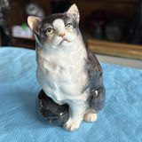 Lot Of Cats - thumbnail 40 of 43