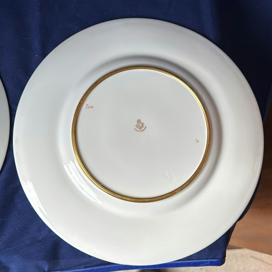 Vintage Cabinet Plates Royal Worcester And French Plate - image 12 of 12