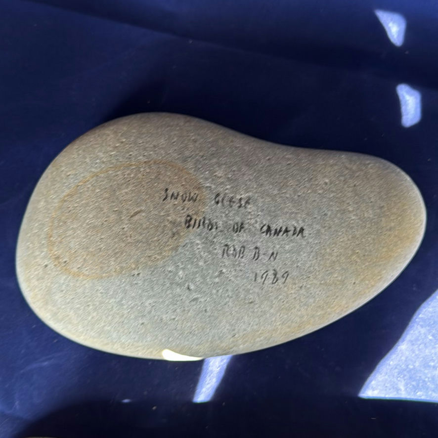 Birds Of Canada Painted On Stones - image 11 of 11