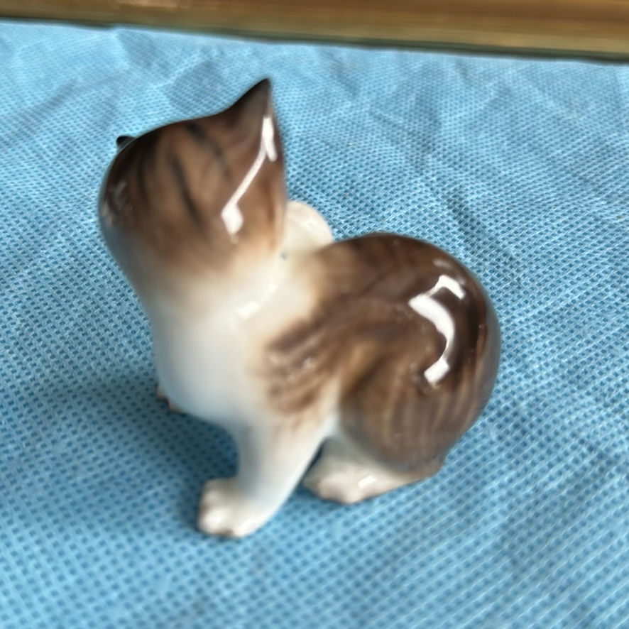 Lot Of Cats - image 23 of 43