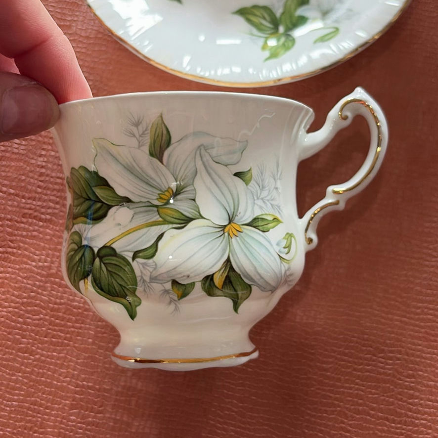 Paragon Trillium Cup And Saucer And More - image 2 of 14