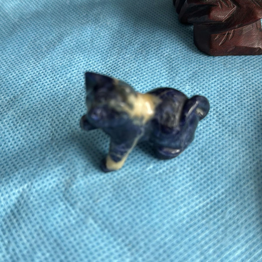 Various Small Animals - image 3 of 16