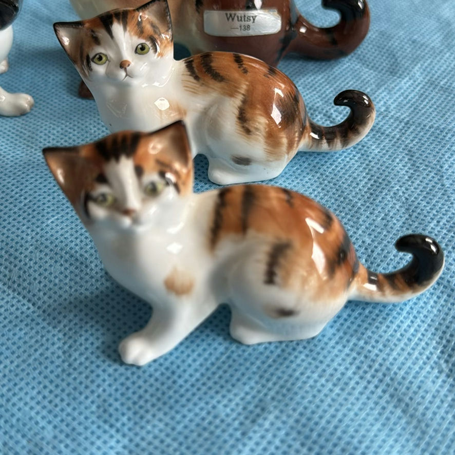 Lot Of Cats - image 6 of 43