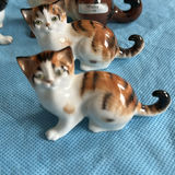 Lot Of Cats - thumbnail 6 of 43