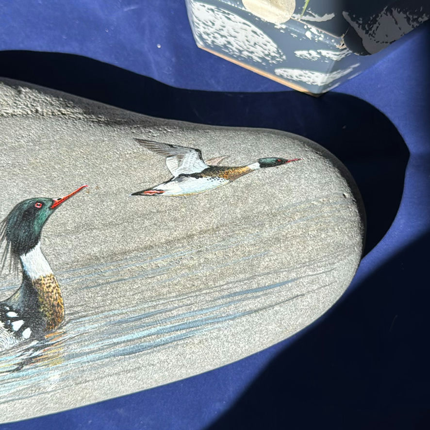 Birds Of Canada Painted On Stones - image 5 of 11