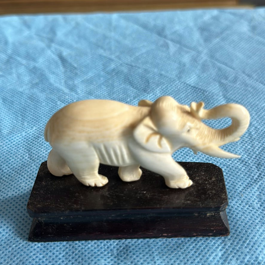 Various Small Animals - image 14 of 16