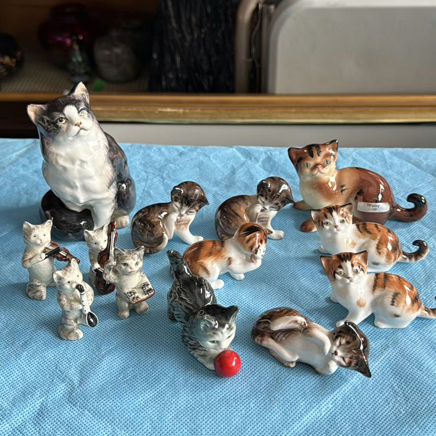 Lot Of Cats - image 1 of 43