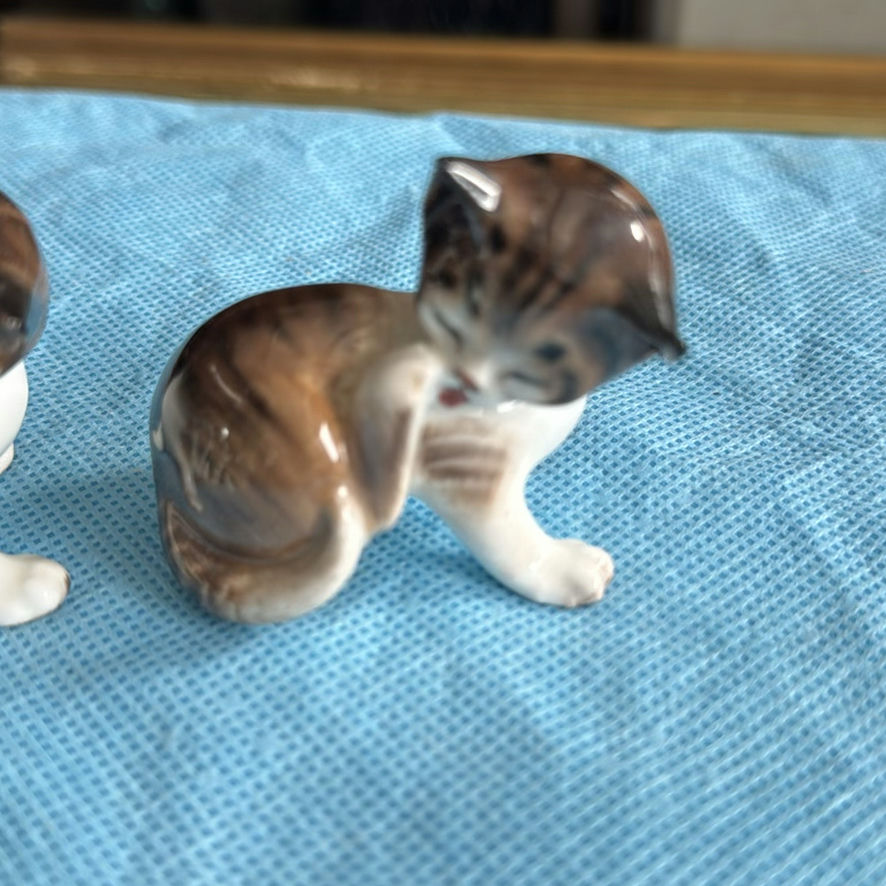 Lot Of Cats - image 22 of 43