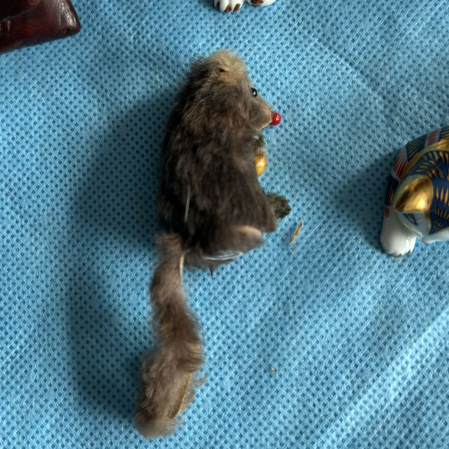 Various Small Animals - image 5 of 16