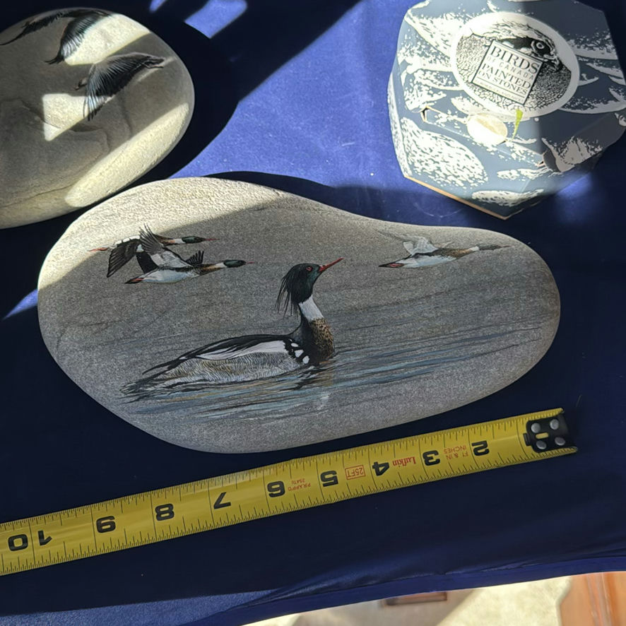 Birds Of Canada Painted On Stones - image 2 of 11