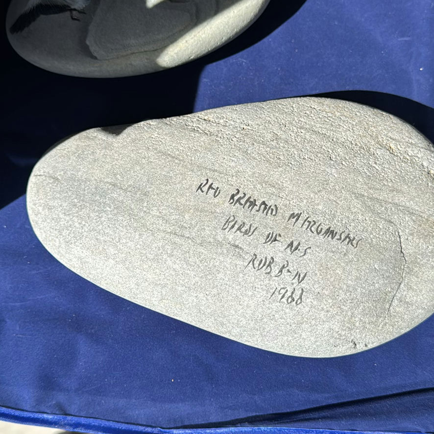 Birds Of Canada Painted On Stones - image 6 of 11