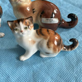 Lot Of Cats - thumbnail 9 of 43