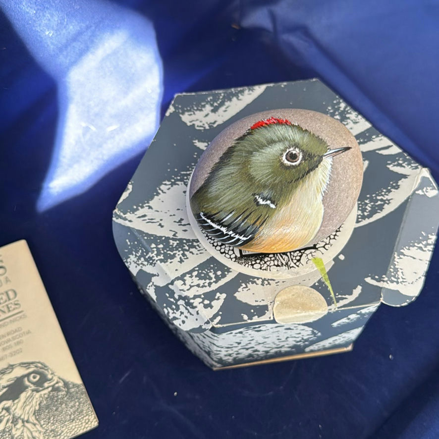 Birds Of Canada Painted On Stones - image 8 of 11
