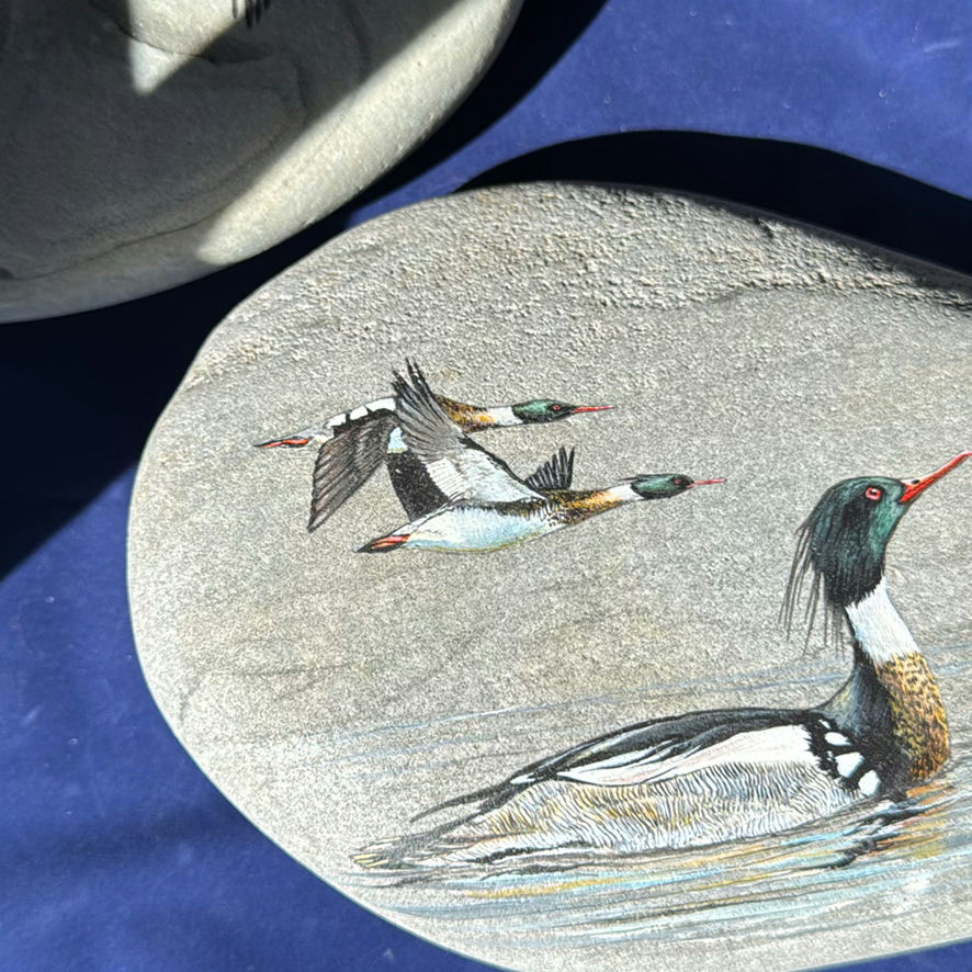 Birds Of Canada Painted On Stones - image 3 of 11
