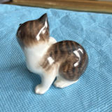 Lot Of Cats - thumbnail 26 of 43