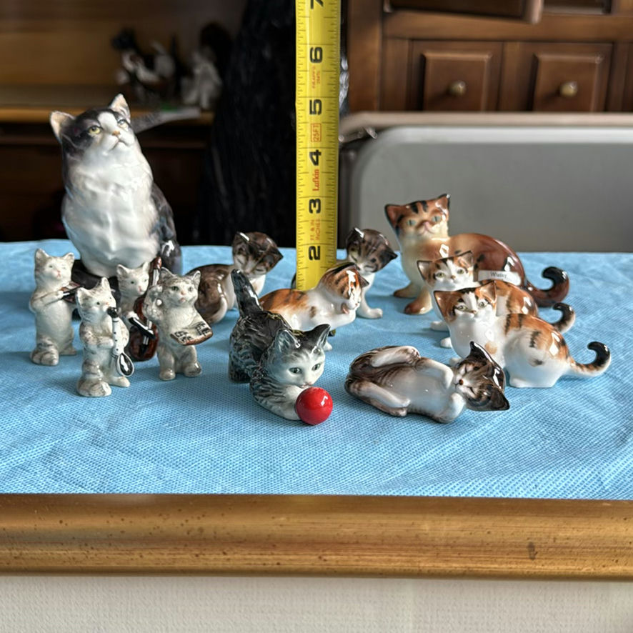 Lot Of Cats - image 2 of 43