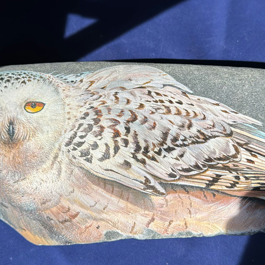 Snowy Owl Decorative Stone By Rob Buckland Nicks - image 4 of 6