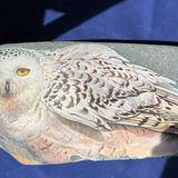 Snowy Owl Decorative Stone By Rob Buckland Nicks - thumbnail 4 of 6