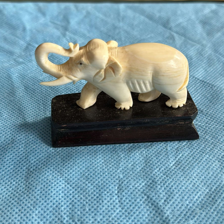 Various Small Animals - image 13 of 16