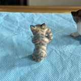 Lot Of Cats - thumbnail 29 of 43