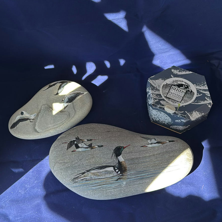 Birds Of Canada Painted On Stones - image 1 of 11