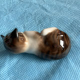 Lot Of Cats - thumbnail 4 of 43